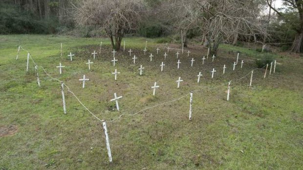 At least 50 unaccounted for grave sites were found on the school grounds.