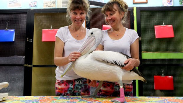Paula and Bridgette Powers run Twinnies Pelican and Seabird Rescue at Landsborough on the Sunshine Coast.