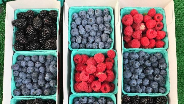 Berries at the Farmer's Market.