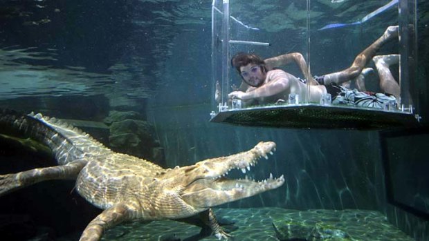 Smile at a crocodile ... taking a dip in Crocosaurus Cove.