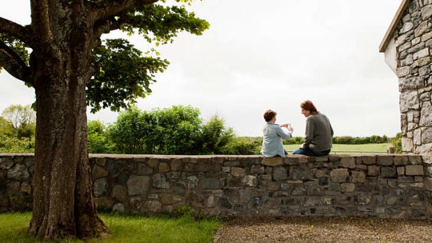 Human instinct: Ireland wants its families to reach out to descendants in the diaspora.