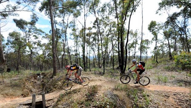 Lustre for life ... the revamped route, opened in May, appeals to both hikers and bikers.