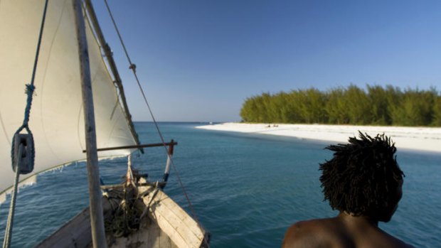 Spice Island scene ... a traditional dhow on its way to Mnemba.