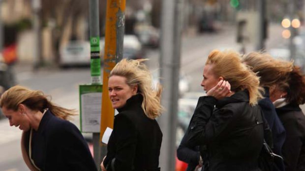 Windy weather on Domain Road, South Yarra. <i>Picture: Ken Irwin</i>