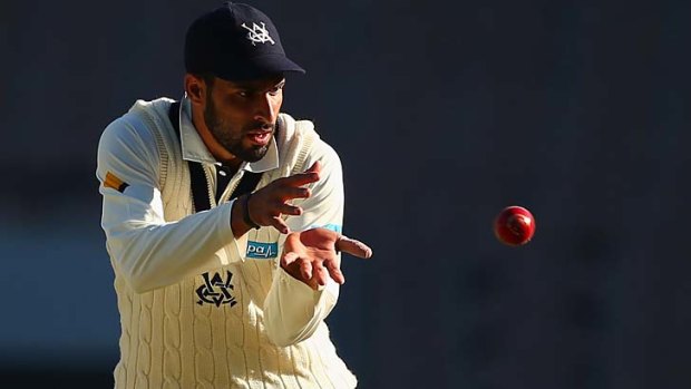 Fawad Ahmed could bolt into the team for the first Test at the Gabba or may have to wait until later in the series to play alongside Nathan Lyon as a second spinner.