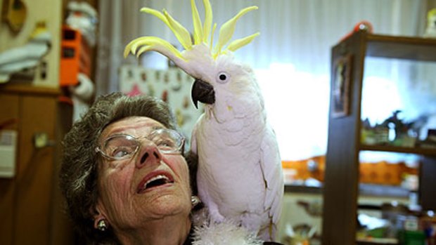 Friends for life: Doreen Trainor with Michael, the cockatoo her late husband gave her as a wedding present nearly half a century ago.