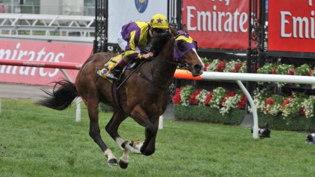 Hard ask: Boomwaa is aiming to be the first two-year-old to win the Lightning Stakes in almost four decades.