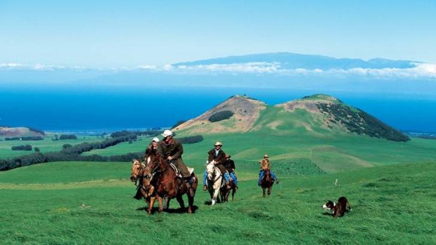 Horse riders in the lush pastures of Hawaii's Kohala region.