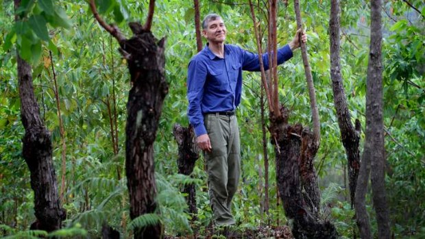 Change agent: Tony Rinaudo's ideas have revolutionised thinking around forest regeneration.