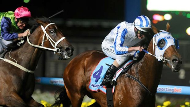On a high: The Peter Moody trained Highly Recommended wins the Alister Clark Stakes last night.
