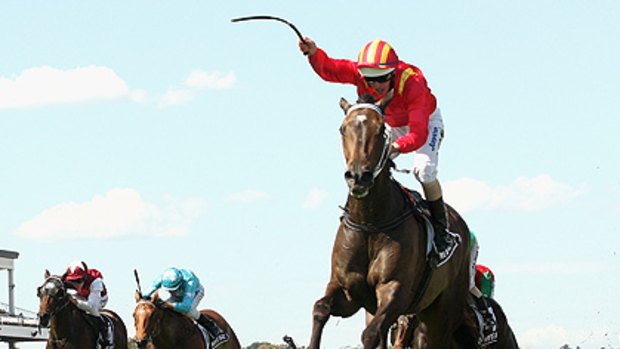 Typhoon Tracy, winner of the Myer Classic, resumes in the Orr Stakes on Saturday.