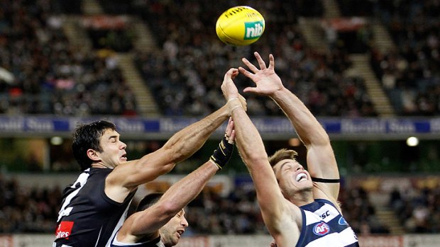 Aerial battle: Magpie Chris Tarrant spoils Cats James Podsiadly and Tom Hawkins.
