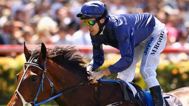 Star class: Top filly Atlantic Jewel has been cleared of back problems and is set to return in Sydney in the autumn.