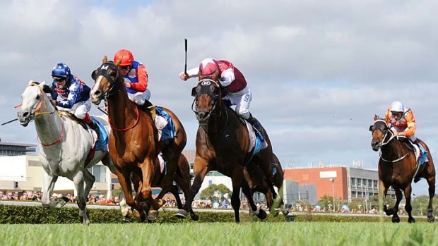 Chad Schofield on Finishing Card (centre) defeats Steven Arnold on Limes and Craig Williams on Chase The Rainbow (left) in the John Dillon Stakes at Caulfield.