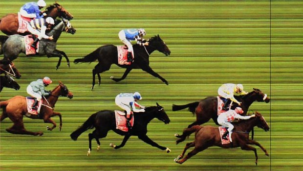 So close ... Dunaden just edges ahead of Red Cadeaux to win the 2011 Melbourne Cup.