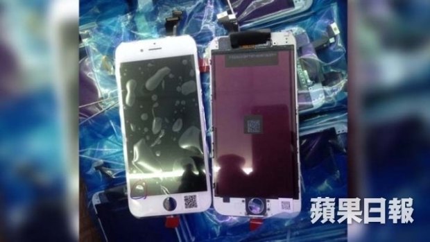 A photo of what <em>Apple Daily</em> claims are components of the next iPhone.