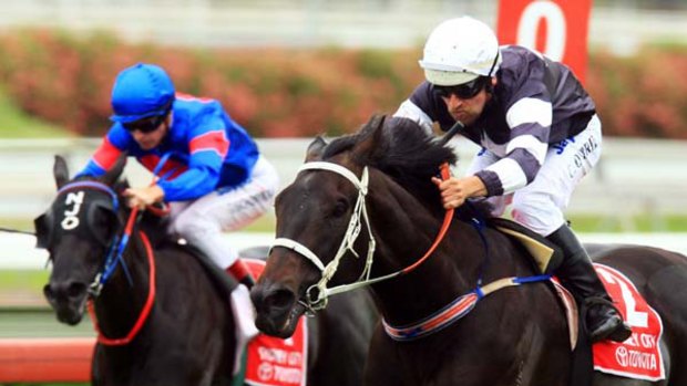 Untapped ... Chris O'Brien rides Sincero to victory at Randwick.