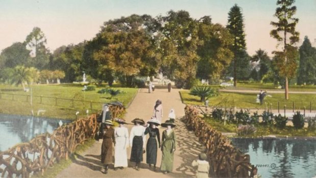 One of the Adelaide Botanic Garden postcards.