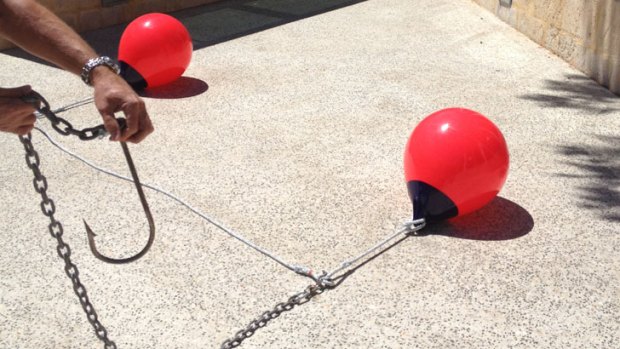 EPA recommends shark drum lines are not to be implemented along WA beaches.