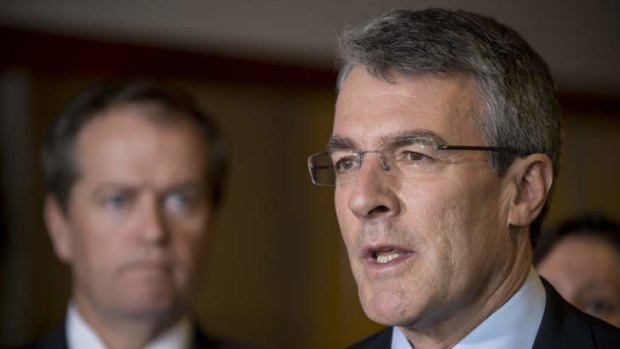 Former attorney-general Mark Dreyfus argued Australia's case against Japanese whaling at The Hague.