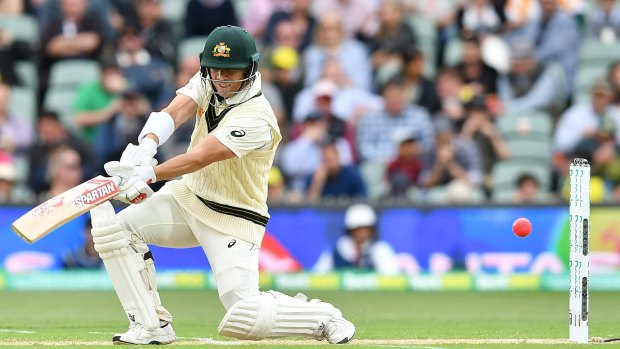David Warner of Australia bats during day one of the 2nd Domain Test between Australia and Pakistan at Adelaide Oval on November 29, 2019 in Adelaide, Australia.