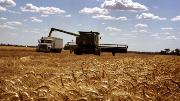 If the ability to take action at the Agriculture Department's is endorsed by a vote of union members, the industrial action in Agriculture would have the potential to disrupt Australian trade. 
