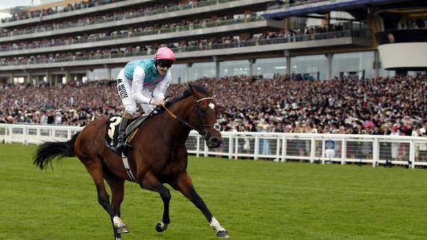 The world's top-rated racehorse, Frankel (ridden by Tom Queally), wins The Queen Anne Stakes at Royal Ascot.