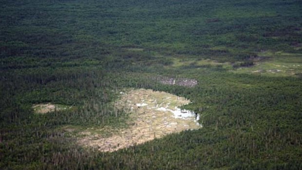 The world's biggest beaver dam, found  in a remote area of northern Alberta, using satellite imagery and Google Earth.