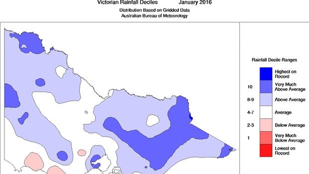 How Victoria's rainfall for January compared with the average. 