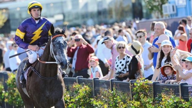 Chautauqua could be one of the horses of the Spring.