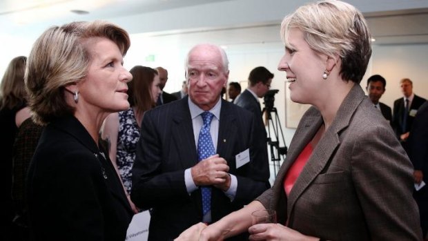 Foreign Affairs Minister Julie Bishop greets her Labor shadow Tanya Plibersek earlier this year. Ms Plibersek has brushed off calling Africa a country.