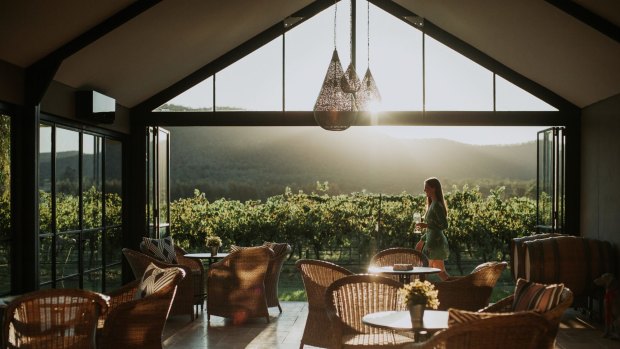 ​Tinonee Vineyard Estate in Broke.