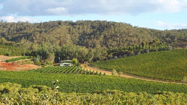 The hills are alive ... the view from Kyotmunga Estate on the Chittering Valley wine trail.