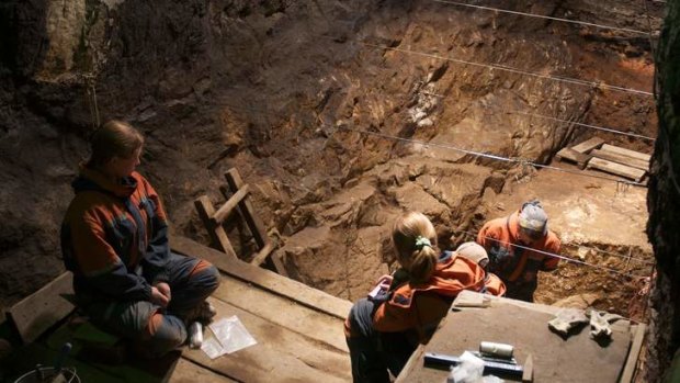 The toe was excavated in Denisova Cave, Siberia.
