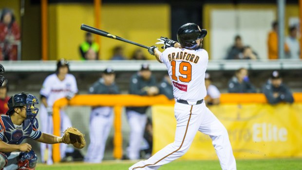 The Canberra Cavalry's  Kieran Bradford in action against the Melbourne Aces last season.

