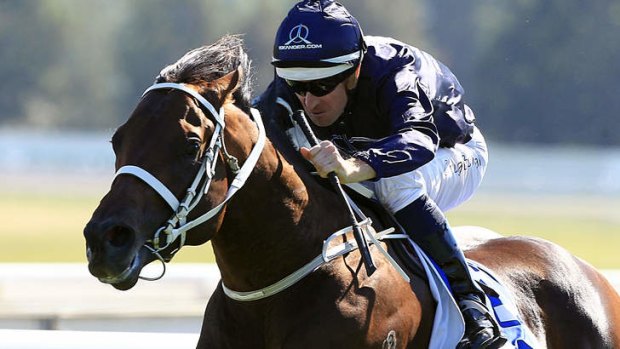 Winter find: Zoustar resumes in the $125,000 Run To The Rose on Saturday.
