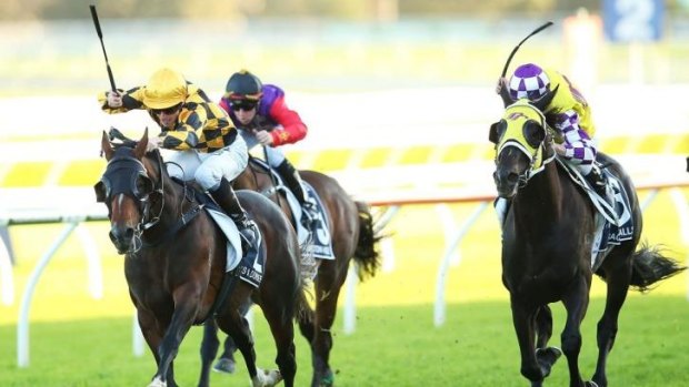 Great success: It's A Dundeel wins the Queen Elizabeth Stakes during The Championships.