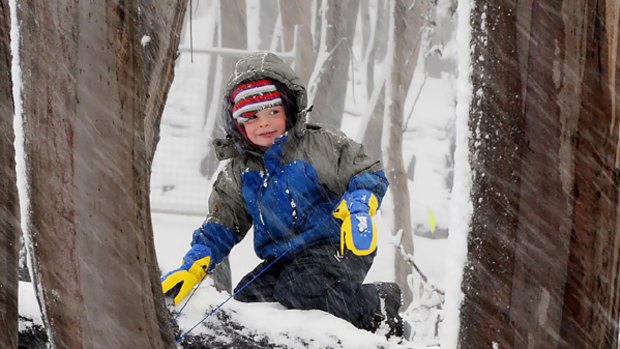 Jed Tyrrell, 4, whose kindergarten burnt down in the Kinglake fire, enjoys the first snow of the season at Lake Mountain yesterday.