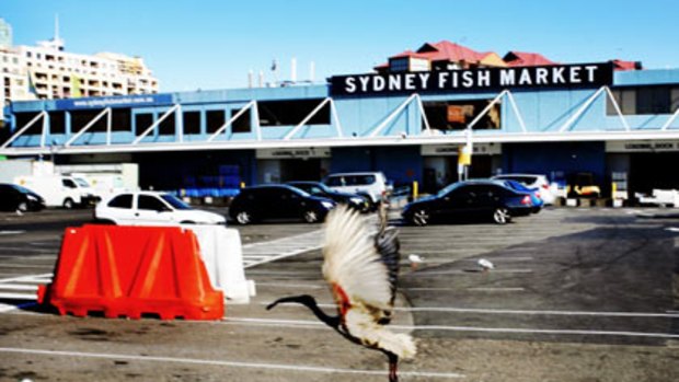 Another decade of decay... the Sydney Fish market will stay with its tired old look after the State Government failed to chip in $15 million for the facelift it approved in 2005.
