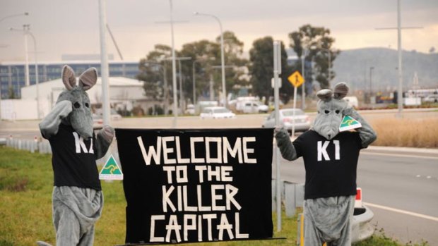 Killer capital ... the Animal Army protesting against the persecution of the eastern grey kangaroo in the capital.