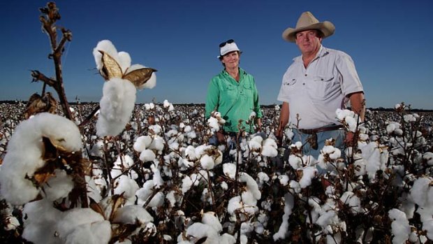 Sceptical &#8230; Sue and Pat Kennedy in their cotton crop near Condobolin. They say they would be very careful about accepting government funding for infrastructure upgrades for fear of red tape.