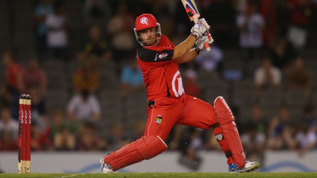 Aaron Finch has been in form for the unbeaten Melbourne Renegades.