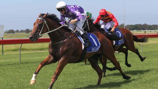 "Equator (pictured) is already looking for the mile. He has improved from his first-up run and is flying on the track": Trainer Gai Waterhouse.