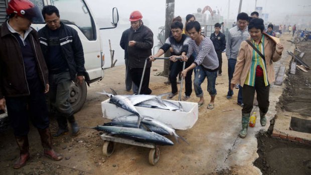 The ones that got away: Chinese fishing vessels have been accused of taking a huge global catch.