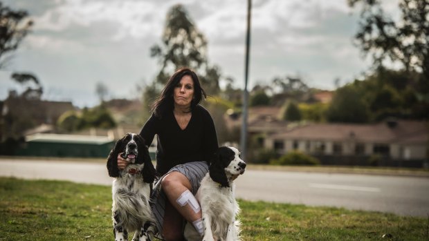 Banks Woman Kerry Evans was attacked by a feral wombat while walking dogs Murphy and Pirate.