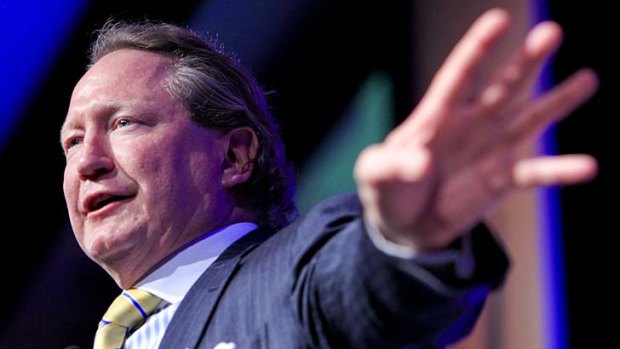 On track: Fortescue Metals CEO Andrew Forrest.