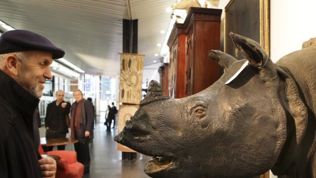 Stuffed with value &#8230; this rare Javan rhinoceros trophy head sold for $108,000.