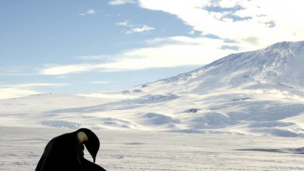 David Bushby: 'Antarctica is too important in the global scene to lose to mining or pollution.'