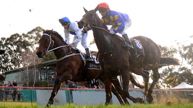 Questions &#8230; the Cranbourne performance of Smoking Aces (left) has come under the spotlight.