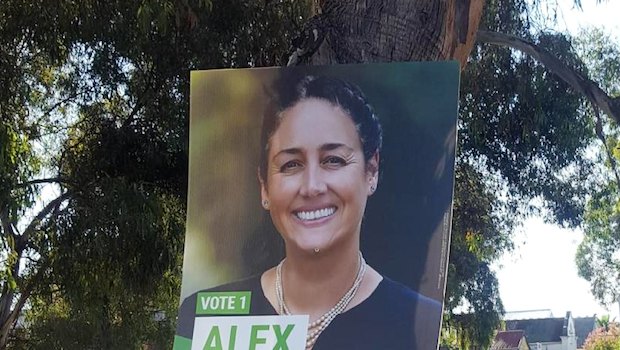 Greens campaign posters screwed into trees on Clarendon Street, Thornbury. 